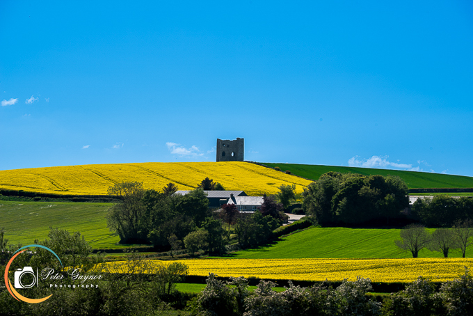 Two Tones field